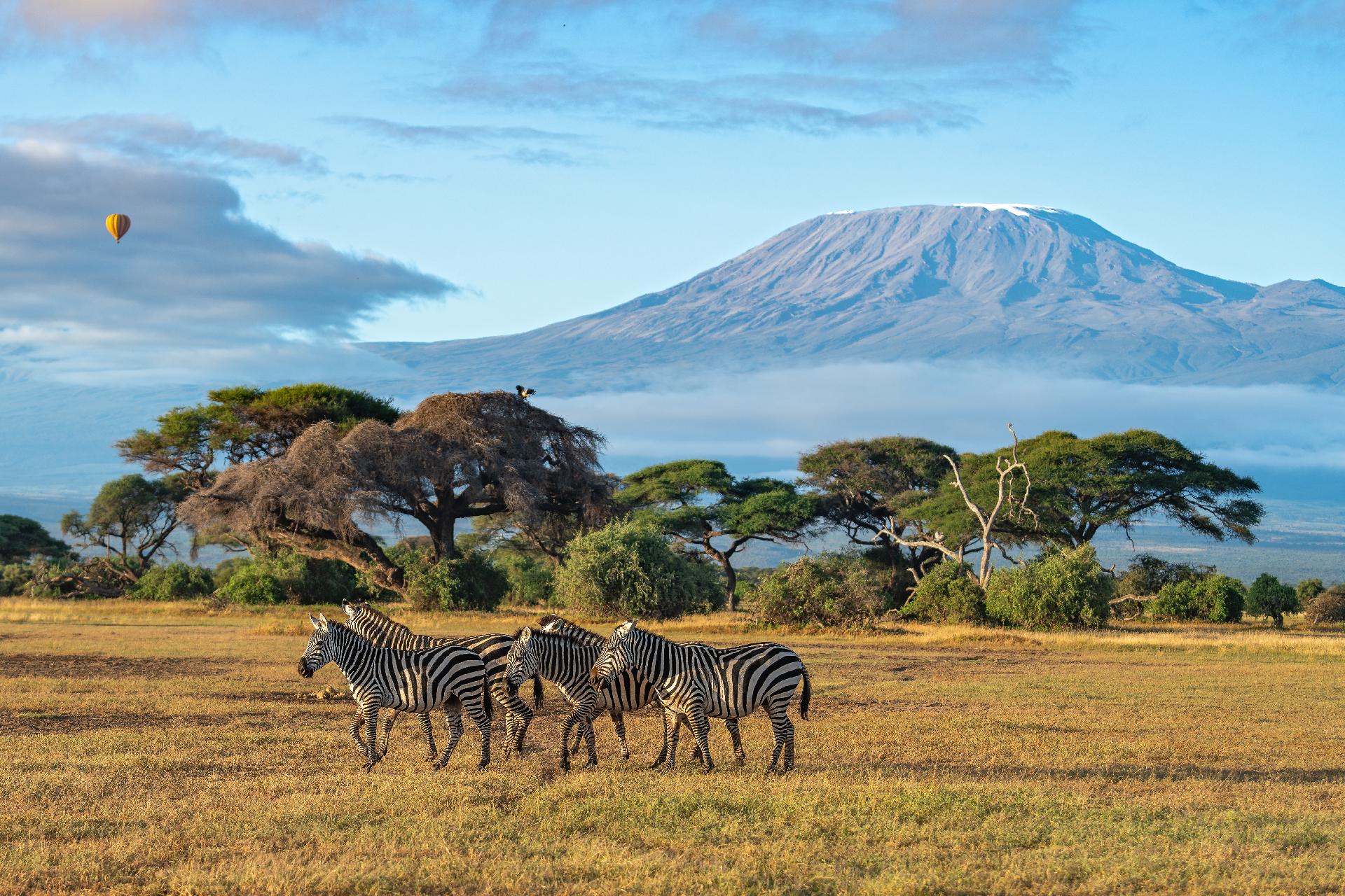 KENIA Y TANZANIA 