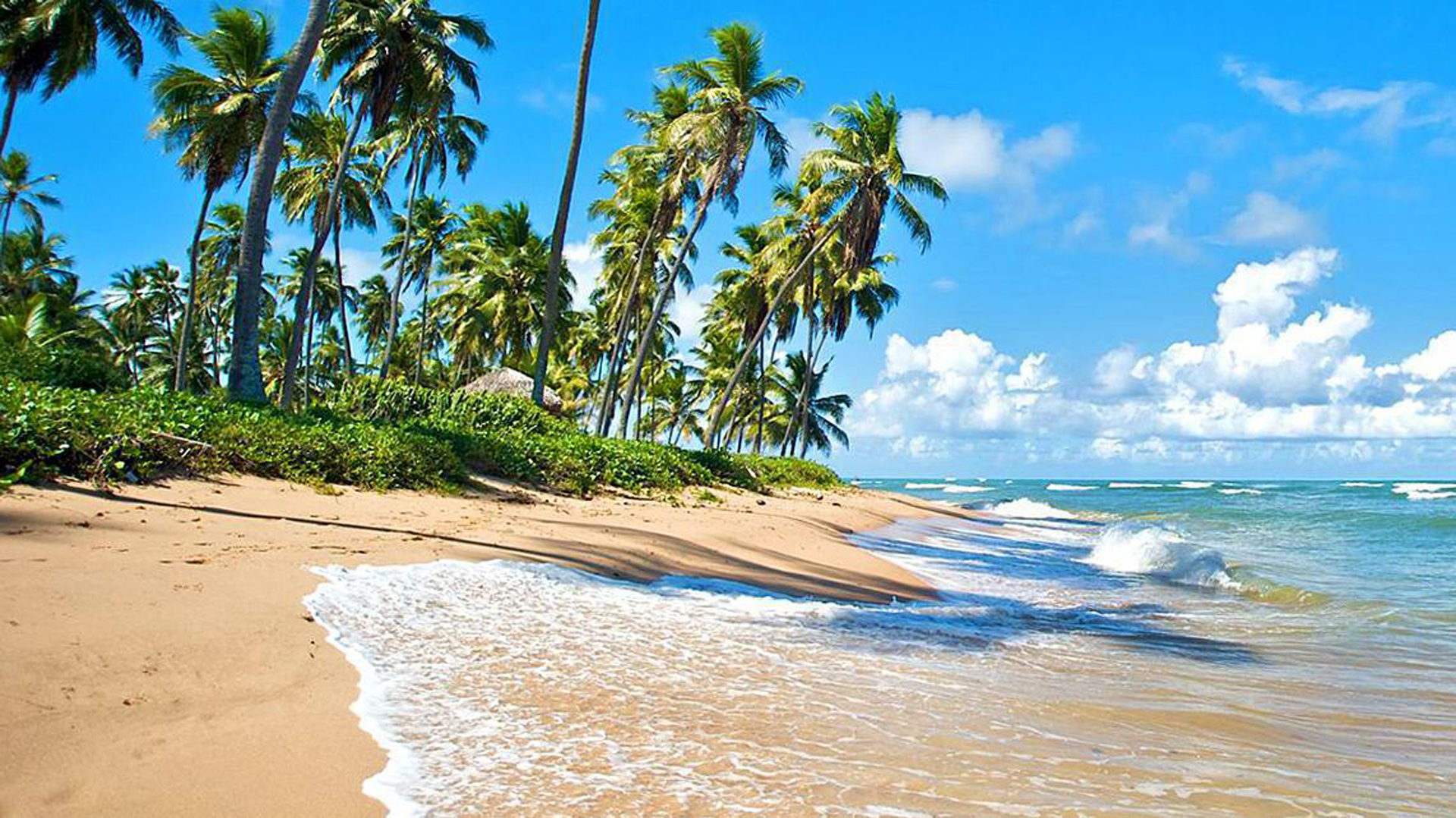 Ciber - Praia do Forte