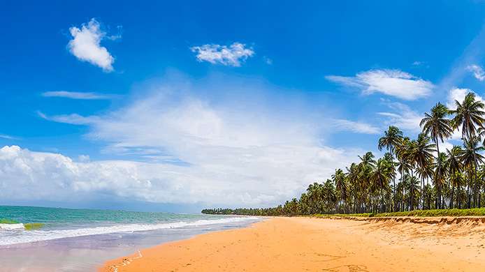 Ciber - Recife