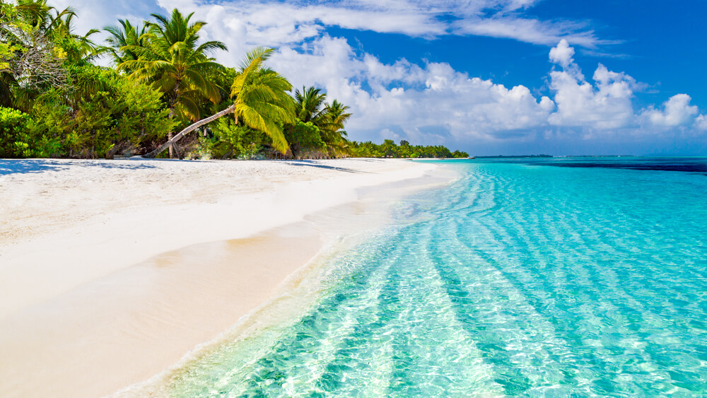Bahamas y Panama