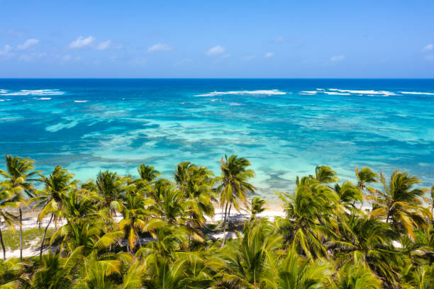 PUNTA CANA ALL INCLUSIVE - VERANO 2026