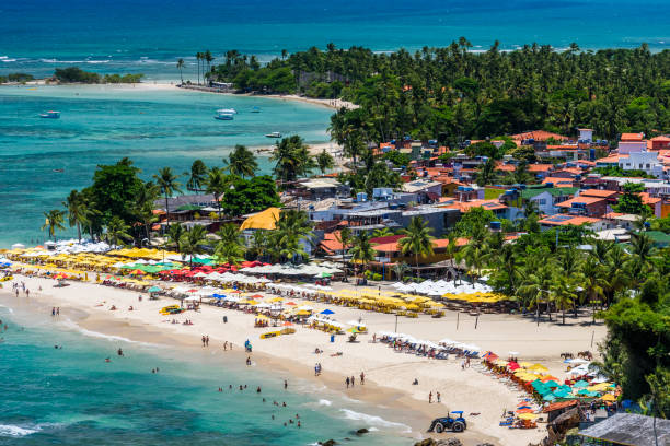 Salvador y Morro de San Pablo - TURISMO 2026